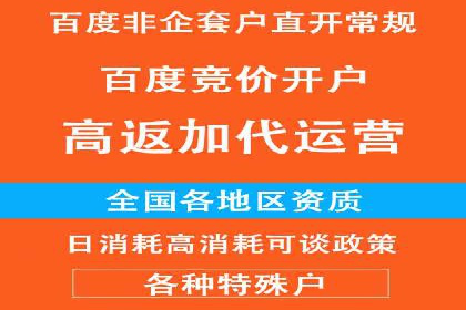 实战派心得：百度竞价代理案例解读与优化技巧